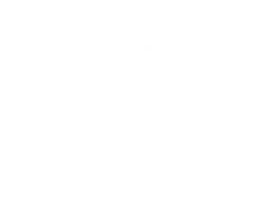 Ace-Hardware