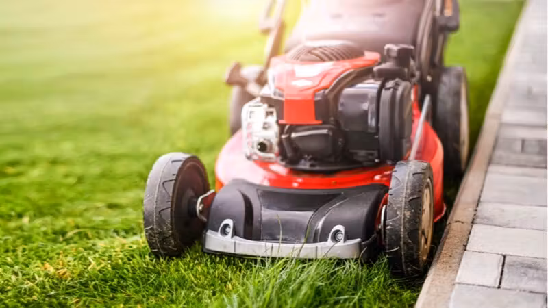lawn-and-garden